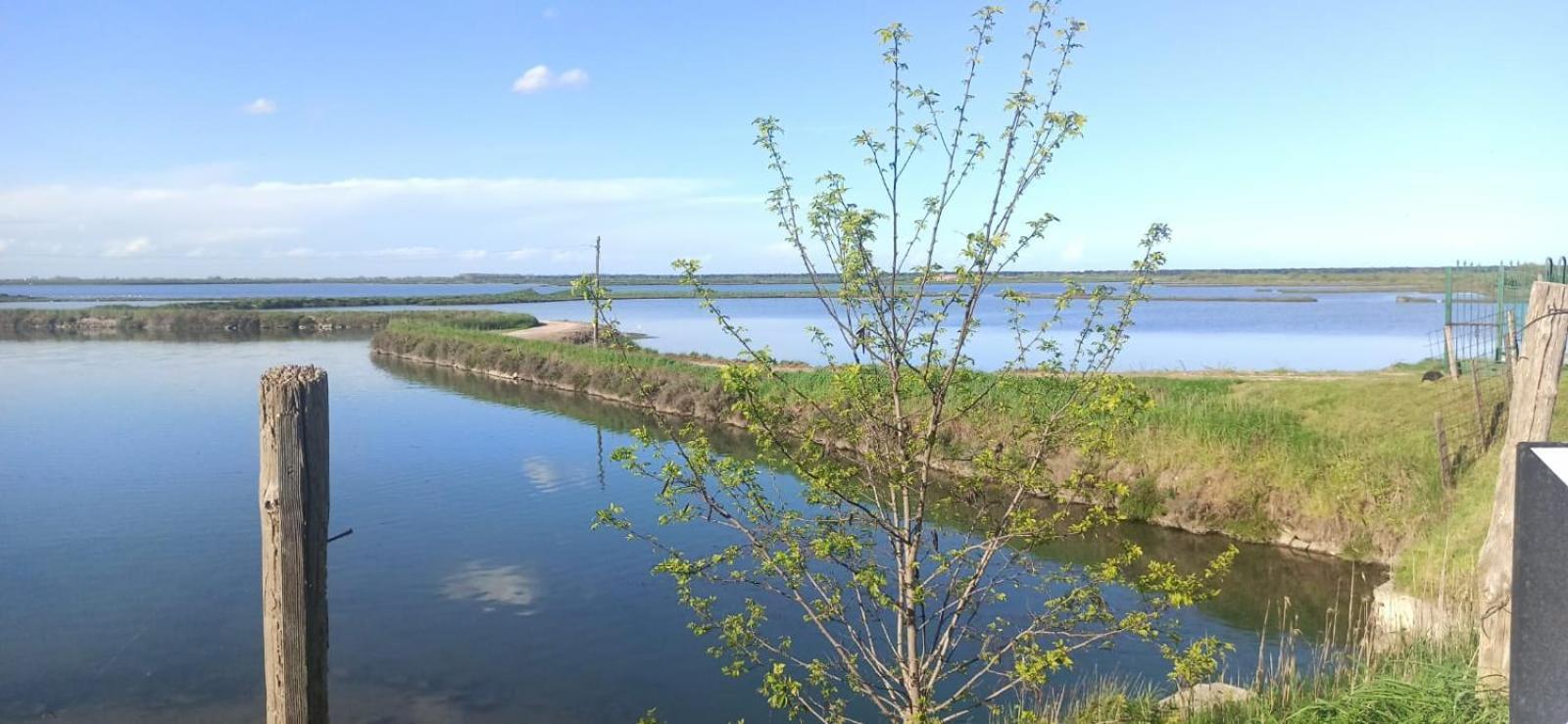 Casa Vacanze Nel Delta Del Po Taglio di Po Exterior foto