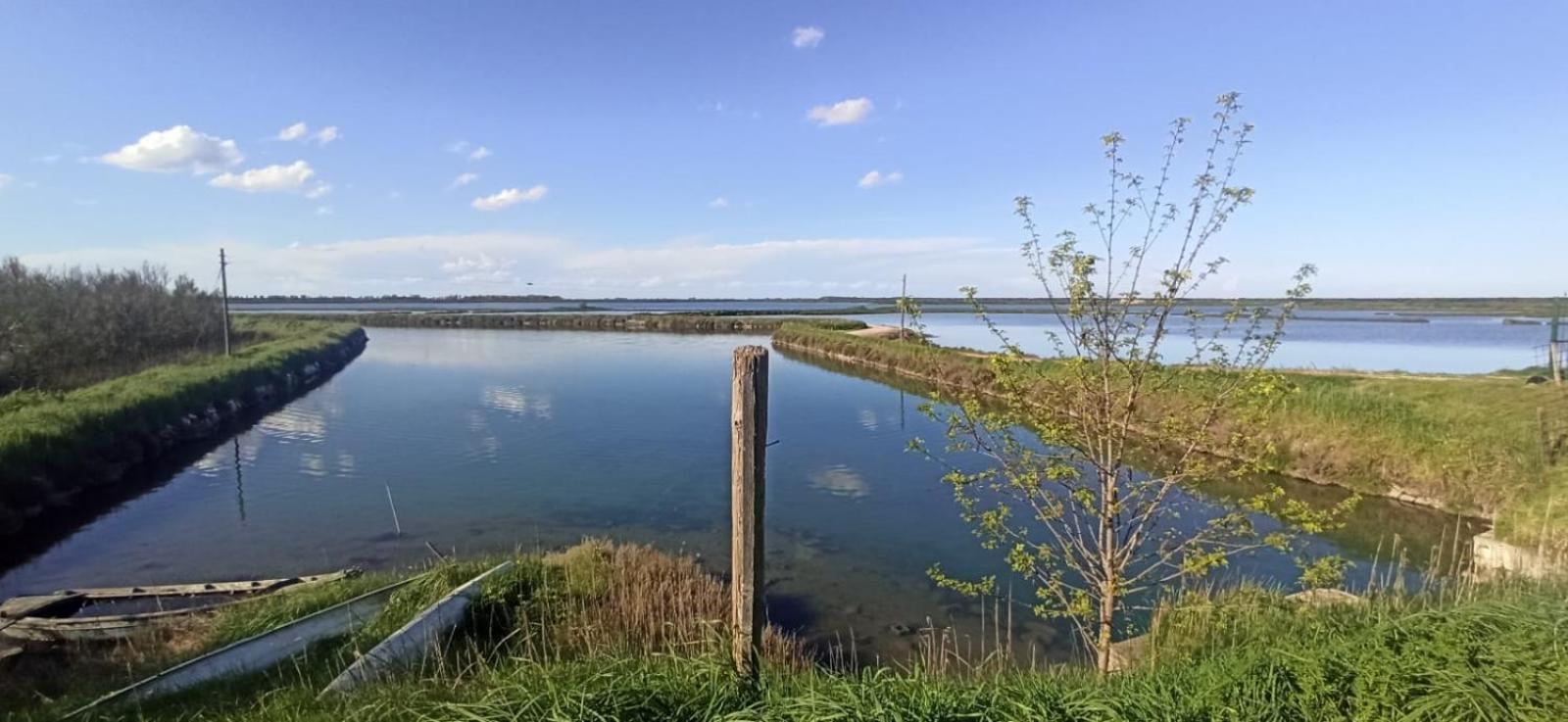 Casa Vacanze Nel Delta Del Po Taglio di Po Exterior foto